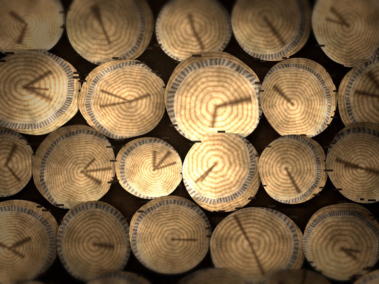 Кругляк берёзовый для распила — доставка в Махачкале